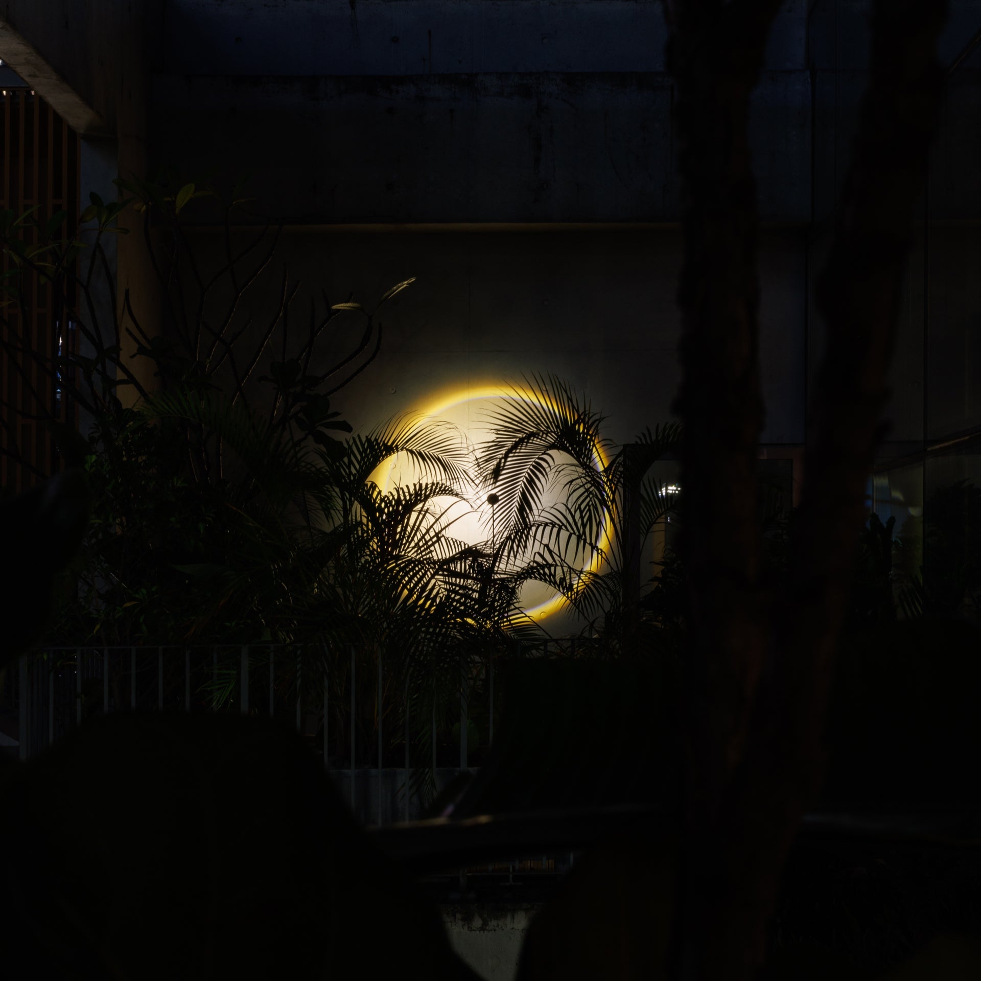 Halo Moon